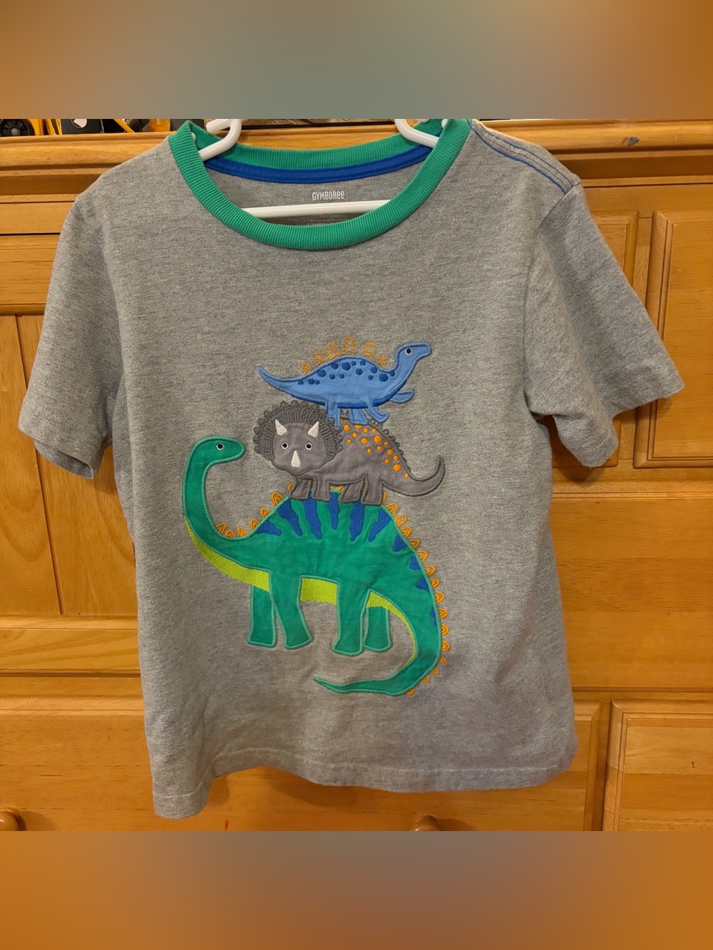 Gymboree Boys' Cute Gray and Green Appliquéd Dinosaur Stack Tee Shirt Size 6